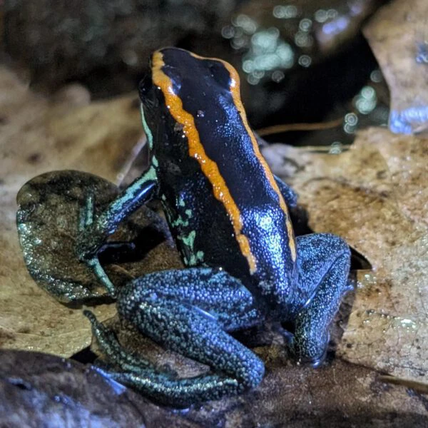 PXL_20251004_075533186