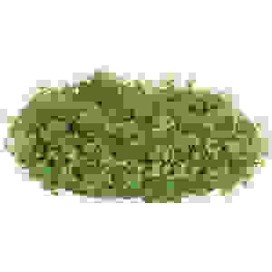 EASY GROW 45 HEMIANTHUS CALLITRICHOIDES