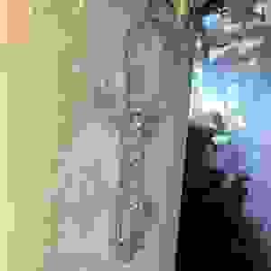 Lepidodactylus Luguris (Rouwgekko)