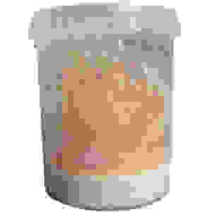 Fruitvlieg (Groot) Vers