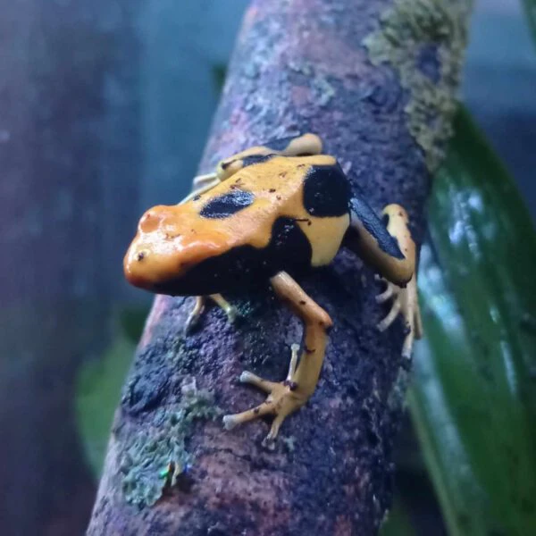 441135158_421975844096439_8342180668228759368_n