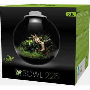 Bioart Bowl 225 Wit