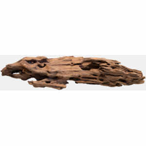 Honeycomb Wood L
