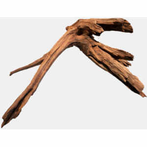 Mangrove Aged Wood L