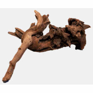 Mangrove Aged Wood S