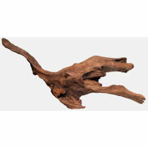 Mangrove Aged Wood M
