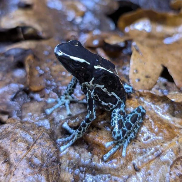 PXL_20250904_090121884