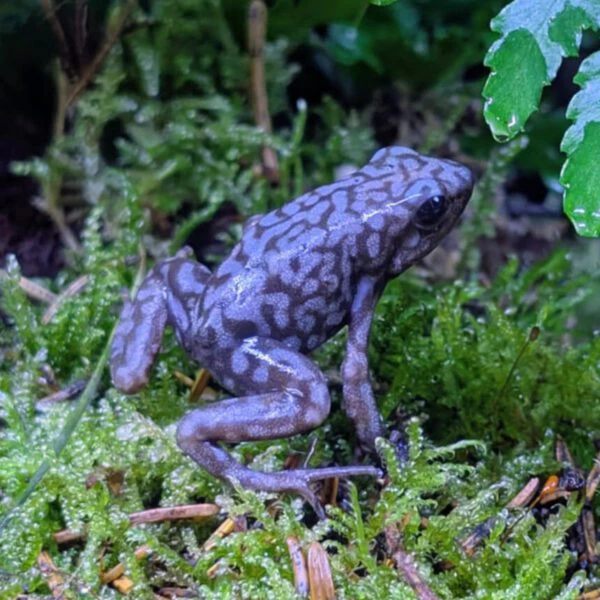 a5935311-5a7c-4e9d-9115-de2cdb400938