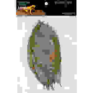 HABISTAT BLADEREN RUBBER 10X