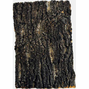 Repto Kurk Plaat 30 X 20 CM