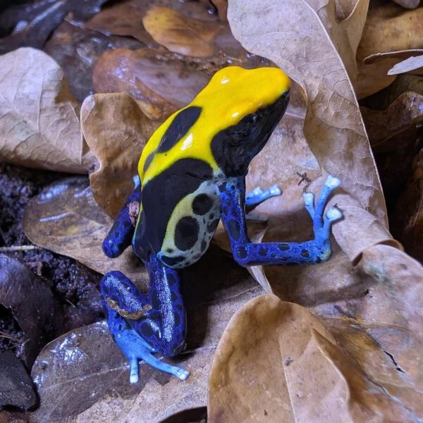 PXL_20250913_105944061