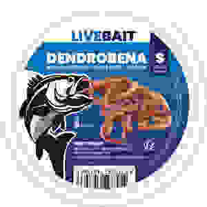 DENDROBENA WORM S