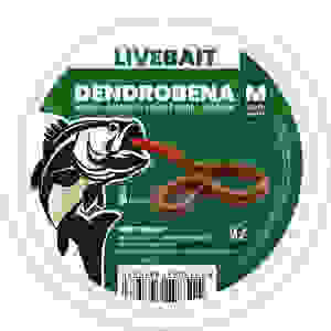 DENDROBENA WORM M