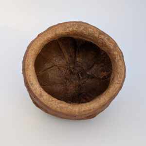 Chapeuzinho 5-8 CM