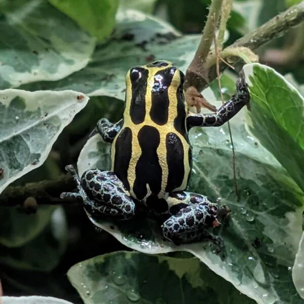 PXL_20251231_162010032.NIGHT