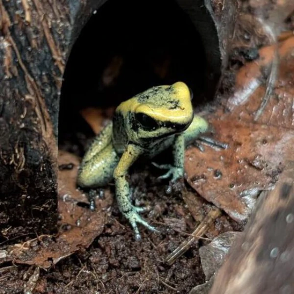 PXL_20260222_101749979