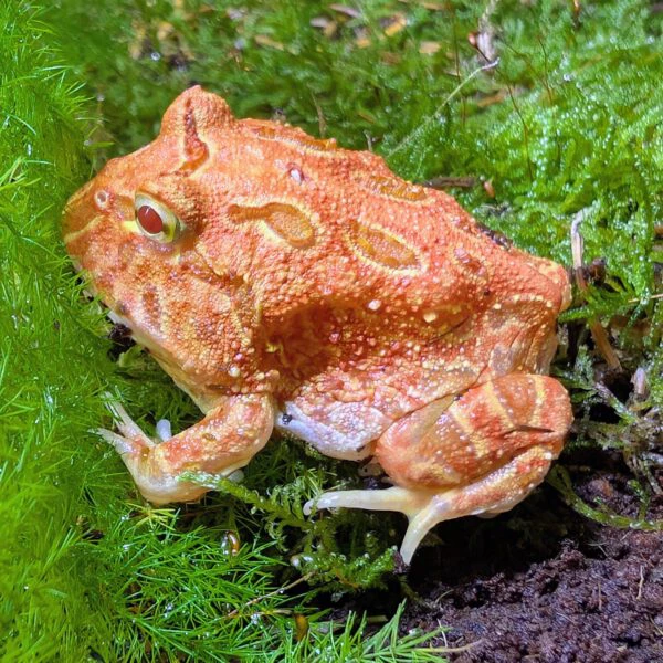 PXL_20260224_112542431~2