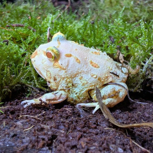 PXL_20260224_112654448