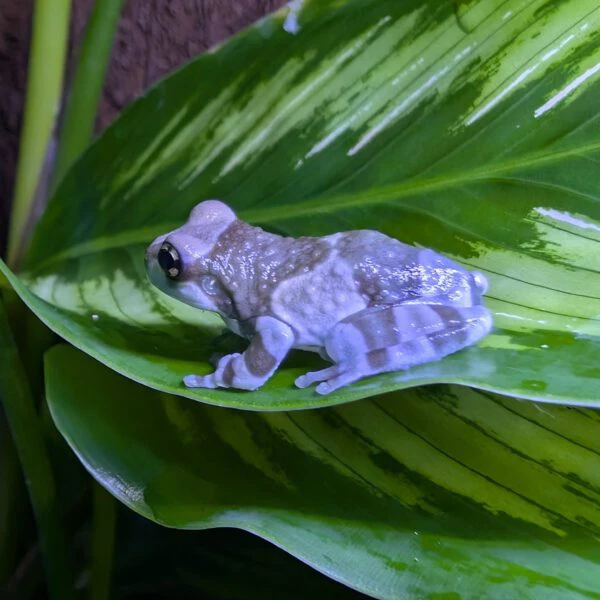 PXL_20260224_113040169