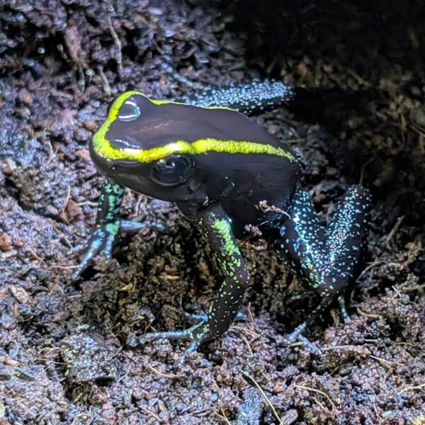 PXL_20260314_141815363