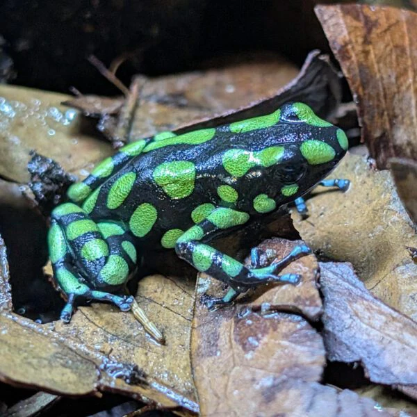 PXL_20260314_142758142