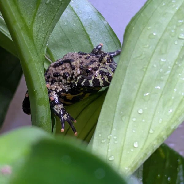 PXL_20260314_144329329