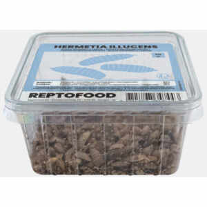 BLACK SOLDIERFLY LARVEN BAKJE 50 GRAM