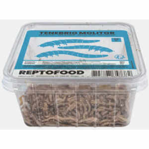 Meelwormen Bakje 50 Gram