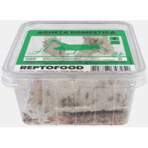 Huiskrekel Bakje Maat 2