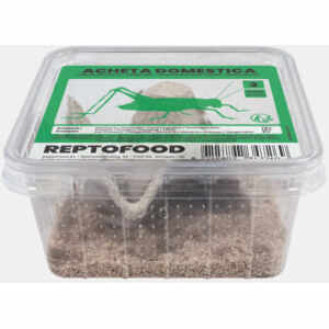 Huiskrekel Bakje Maat 3