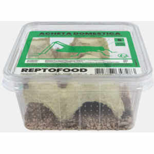 Huiskrekel Bakje Maat 5