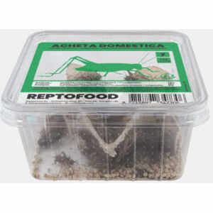 Huiskrekel Bakje Maat 7