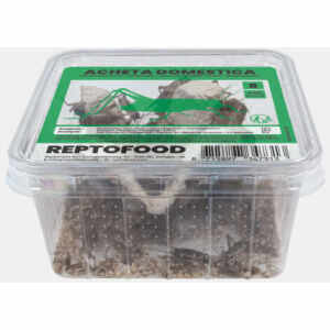 Huiskrekel Bakje Maat 8