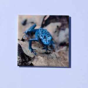 Magneet "Azureus2"
