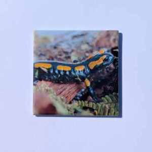 Magneet "Vuursalamander2"