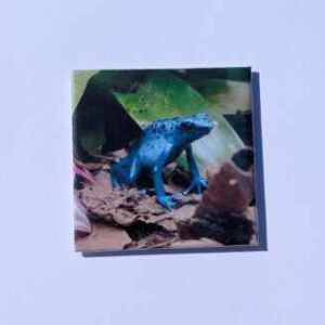 Magneet "Azureus1"