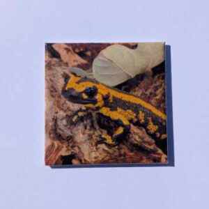 Magneet "Vuursalamander1"