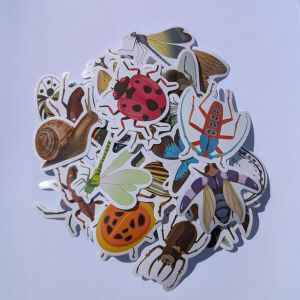 Stickers "Insecten"
