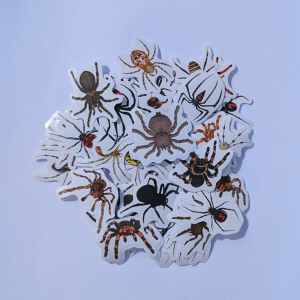 Stickers "Spinnen"