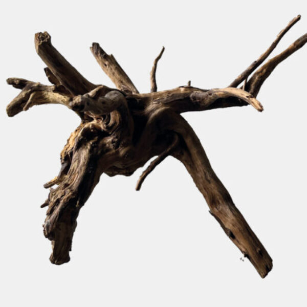 00_BLACK_SPIDERWOOD_SMALL_75fc3