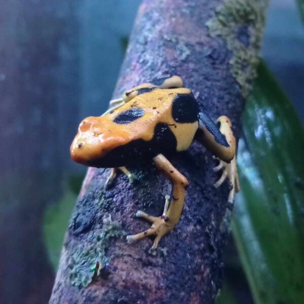 441135158_421975844096439_8342180668228759368_n