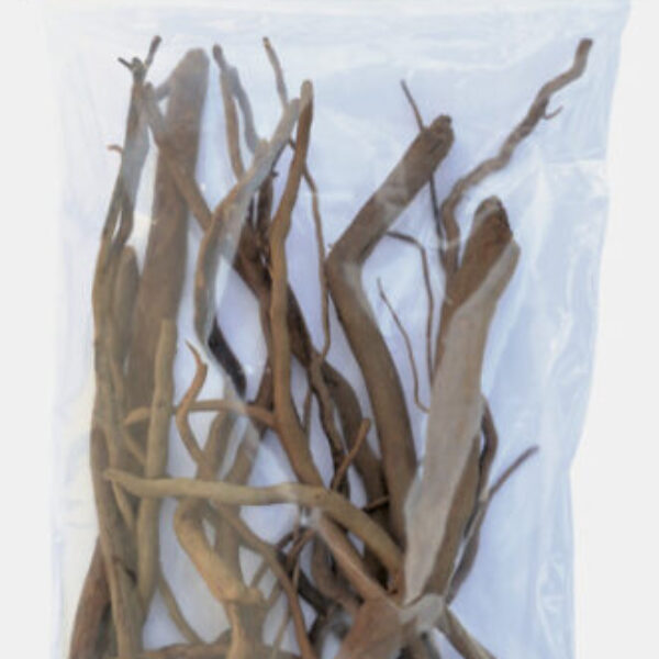 4_SPIDERWOOD_BRANCH_FRONT_8a3d3