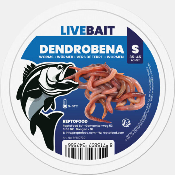 97347566_Dendrobena_S_TOP_e9c14