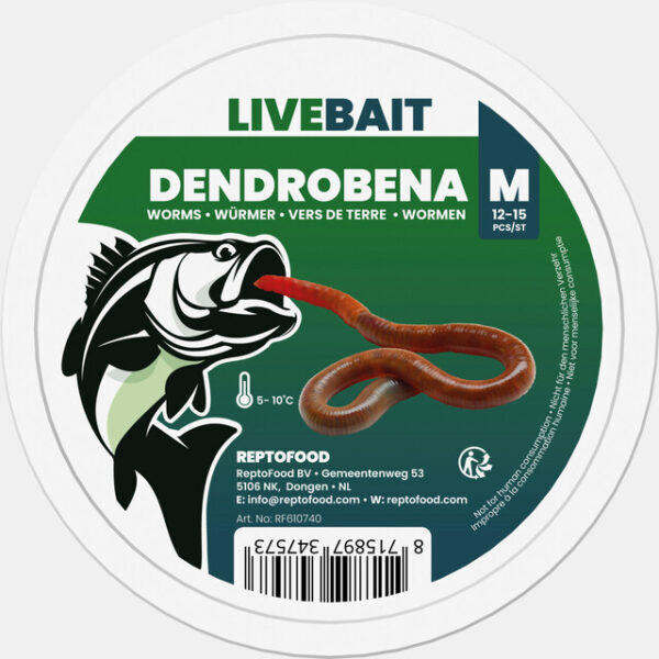 97347573_Dendrobena_M_TOP_f1ffb