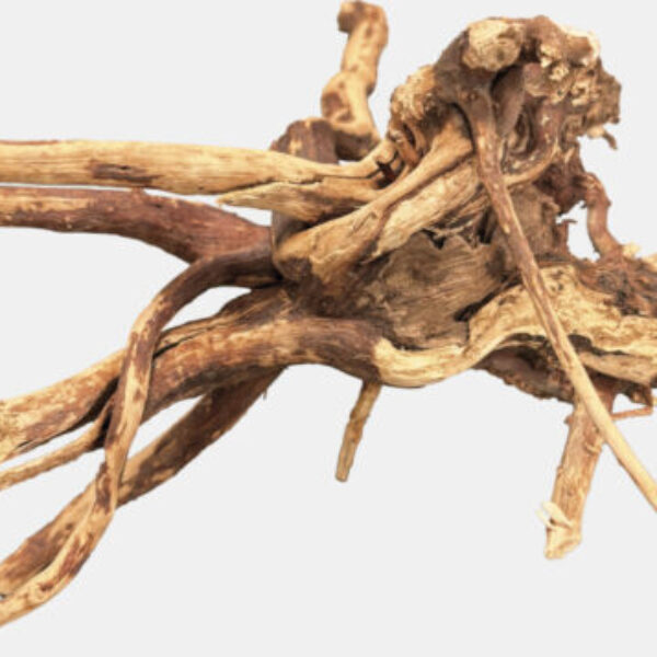 BIOART_SPIDERWOOD_PRODUCT_ee39b