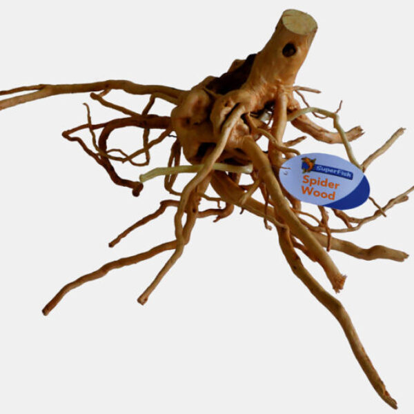 D_LARGE_(40-50CM)_PRODUCT_aa46a