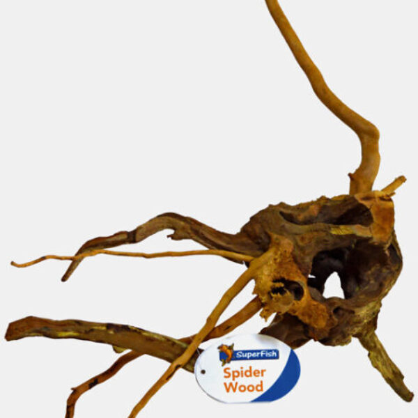 D_SMALL_(20-30CM)_PRODUCT_7fce4