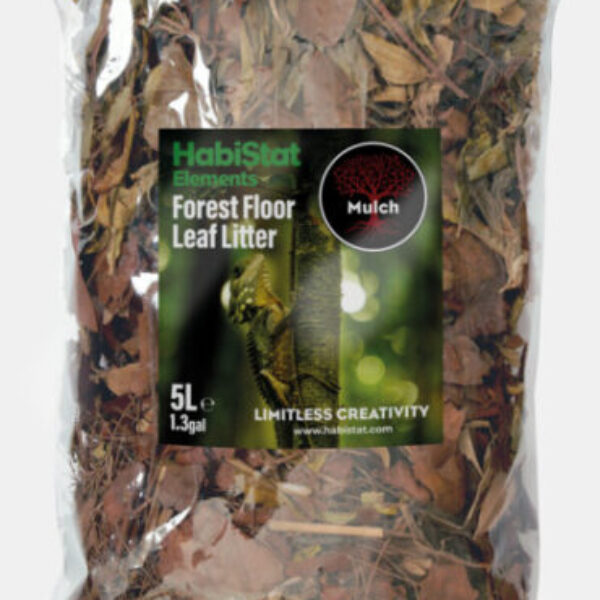 ER_FOREST_FLOOR_5_L_FRONT_aff4c