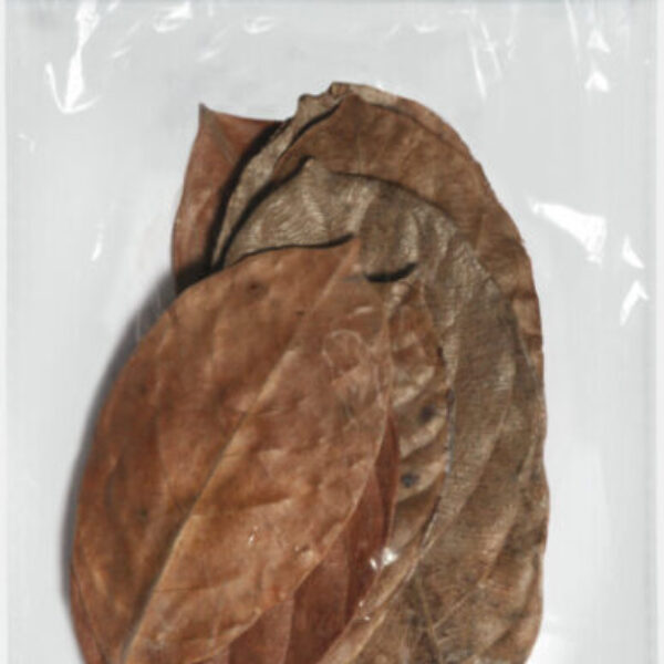 JACKFRUIT_LEAVE_10X_FRONT_356a8