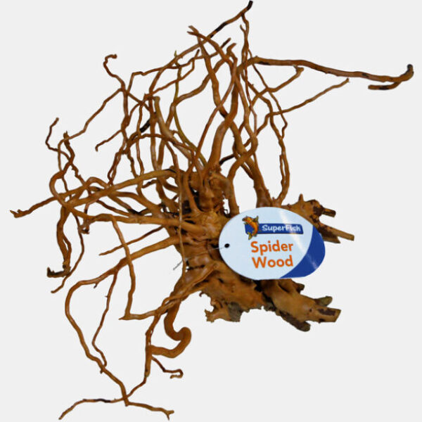 _MEDIUM_(30-40CM)_PRODUCT_c66ec